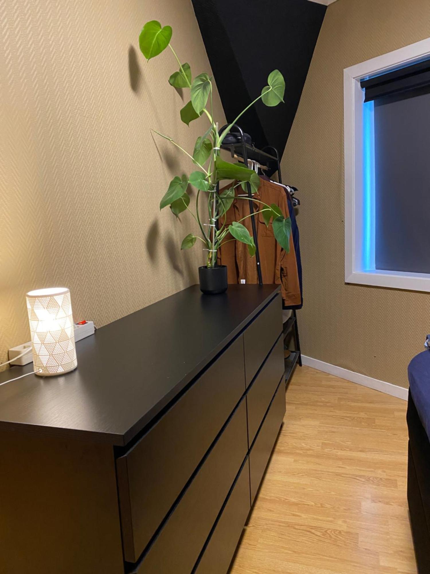 Med Sydvendt Balkong Apartment *